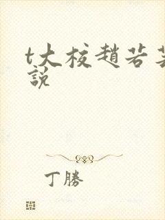 t大校赵若芸小说封面