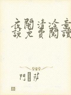 夜阑清冷意欢小说免费阅读封面