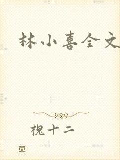 林小喜全文阅读