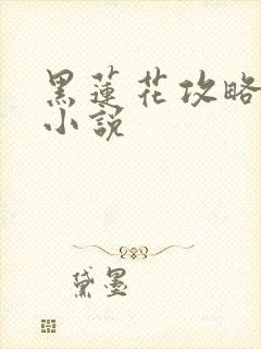 黑莲花攻略手册小说