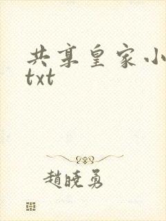 共享皇家小公主txt封面