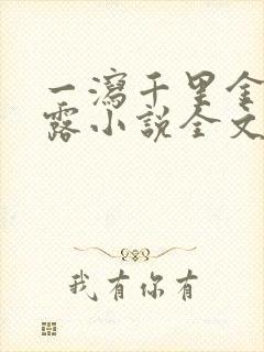 一泻千里金银花露小说全文免费阅读封面