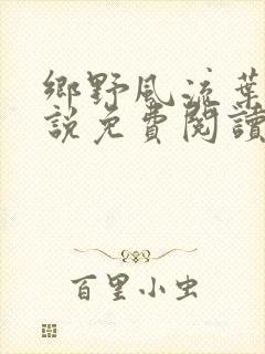 乡野风流叶凡小说免费阅读封面