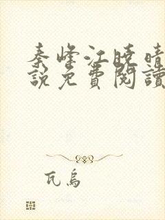 秦峰江晓晴的小说免费阅读