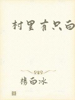 村里有只白骨精封面