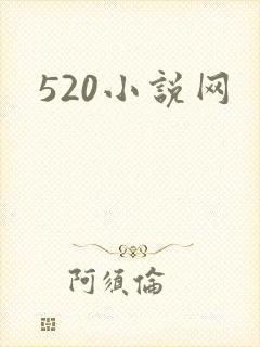 520小说网