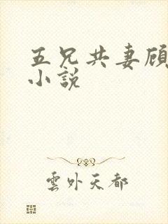 五兄共妻顾心儿小说