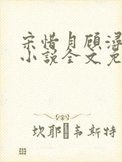 宋惜月顾浔渊的小说全文免费阅读封面