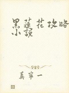 黑莲花攻略手册小说