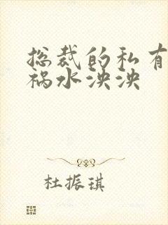 总裁的私有宝贝祸水泱泱封面