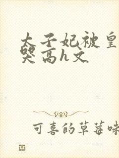 太子妃被皇上c哭高h文封面