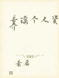 童瑶个人资料简介