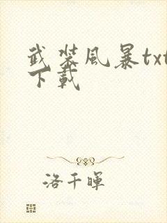 武装风暴txt下载