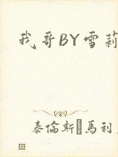 我哥BY雪莉封面