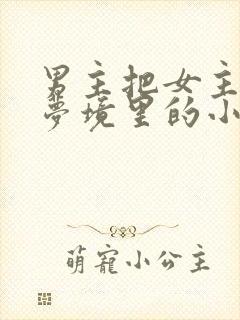 男主把女主拖进梦境里的小说