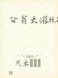 公翁太涨H欲渴
