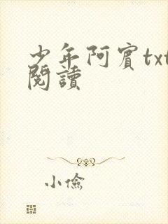 少年阿宾txt阅读