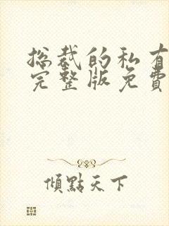 总裁的私有宝贝完整版免费阅读封面