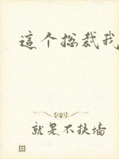 这个总裁我要了