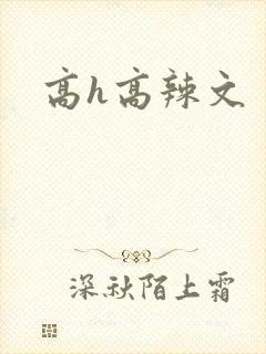 高h高辣文