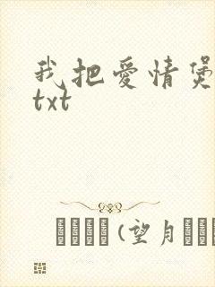 我把爱情煲成汤txt封面