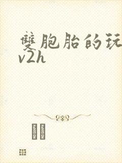 双胞胎的玩具1v2h