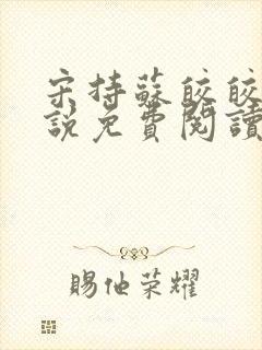 宋持苏皎皎的小说免费阅读