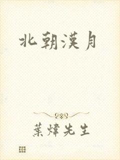 北朝汉月封面