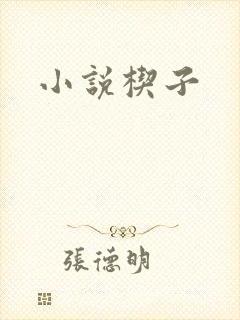 小说楔子