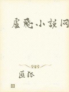 卢飞小说网