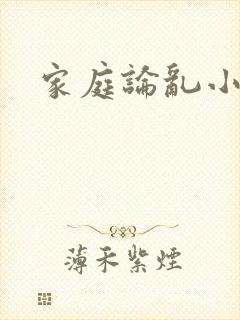 家庭论乱小说封面