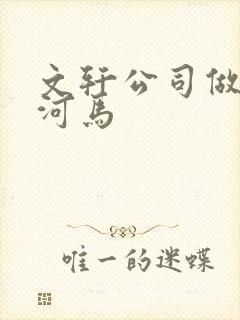 文轩公司做扩张河马