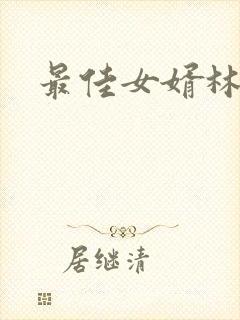 最佳女婿林凡封面