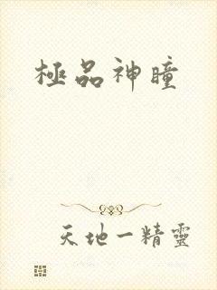 极品神瞳