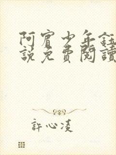 阿宾少年钰慧小说免费阅读笔趣阁