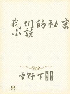 我们的秘密泰剧小说封面