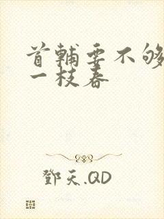 首辅要不够po一枝春