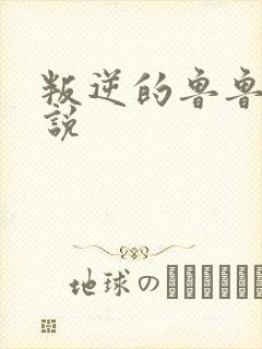 叛逆的鲁鲁修小说封面