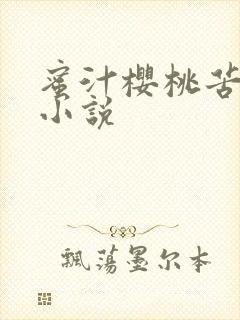 蜜汁樱桃苦咖啡小说