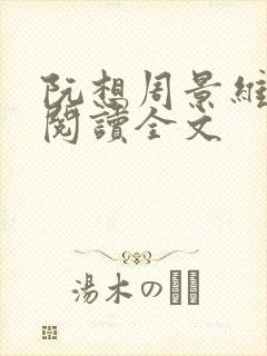 阮想周景维免费阅读全文