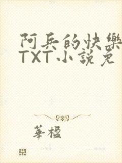 阿兵的快乐生活TXT小说免费阅读全章