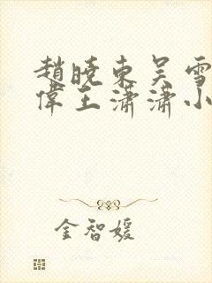 赵晓东吴雪晴郑伟王潇潇小说封面