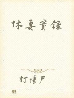 休妻实录封面