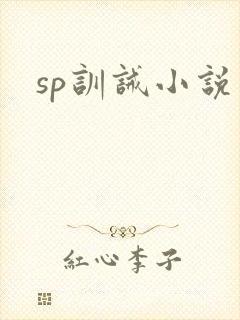 sp训诫小说封面