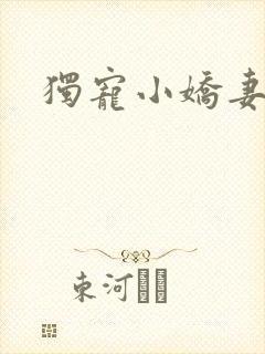独宠小娇妻封面