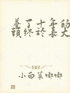 养了十年的小丫头终于长大了