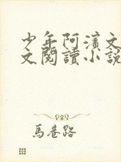 少年阿滨文全全文阅读小说封面