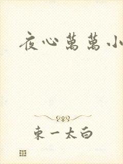 夜心万万小说