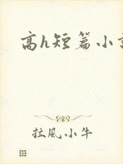 高h短篇小说