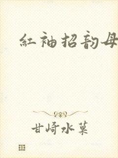 红袖招韵母攻略